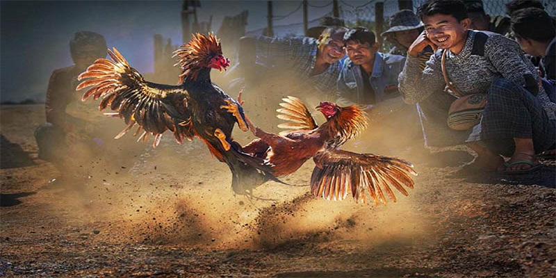 32win1 chơi bắn cá đổi thưởng