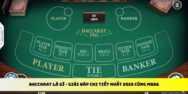 32win1 gà chọi cu cần