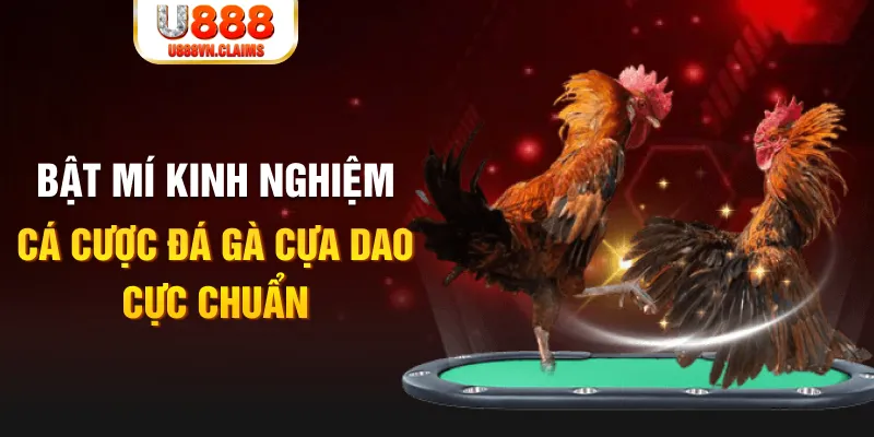 32win1 tỷ lệ cá cược châu á là gì