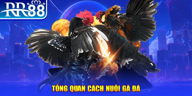 32win1 VA Điện Tử