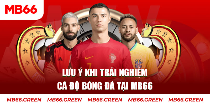 32win1 cá cược là gì