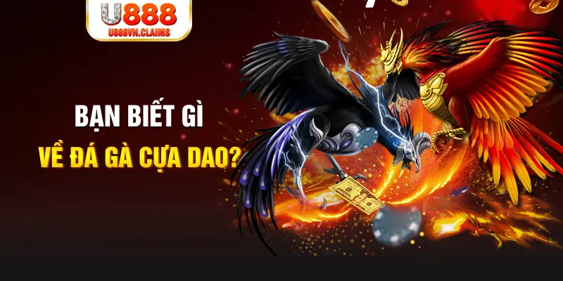 32win1 nổ hủ là gì