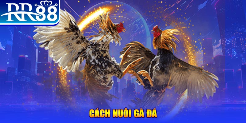 32win1 xổ số an giang