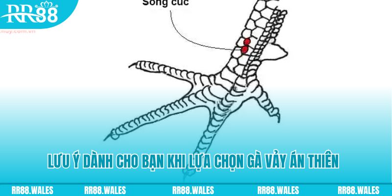 32win1 xổ số đồng nai