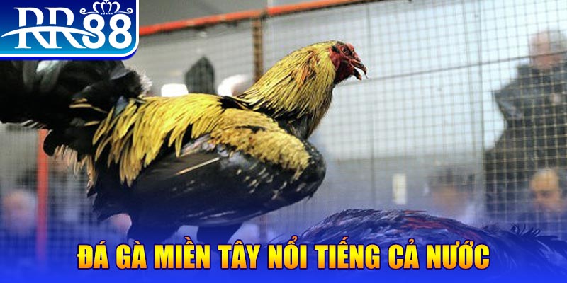 32win1 JILI Game Bài 3d