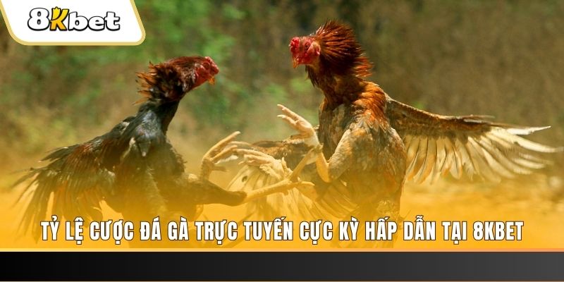 32win1 đăng nhập phỏm trực tiếp