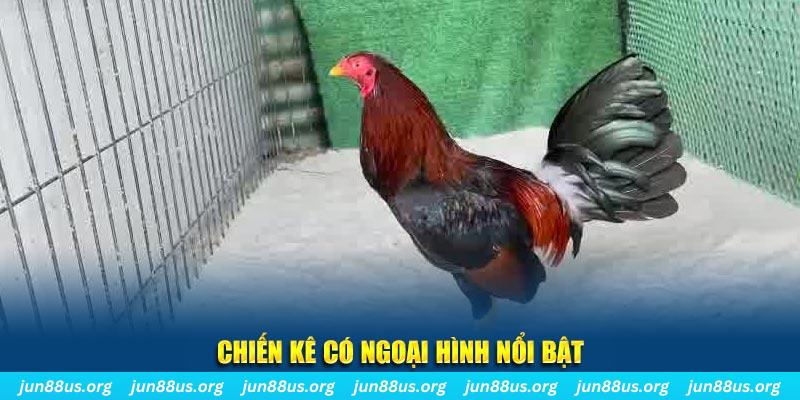 32win1 chạy quảng cáo cho game bài bị phạt như thế nào