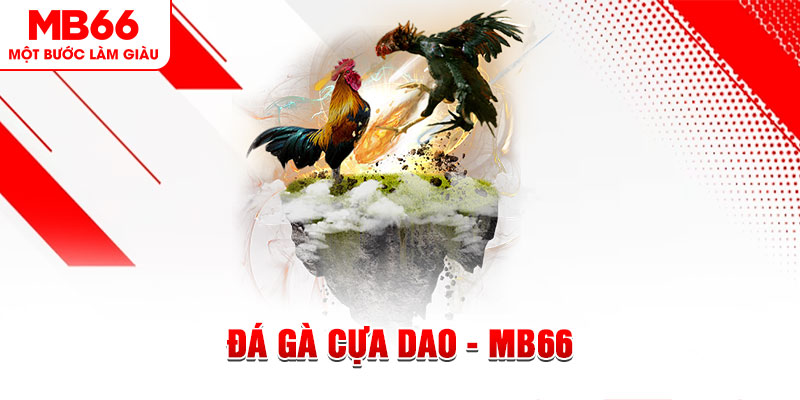 32win1 đá gà sv388 gold