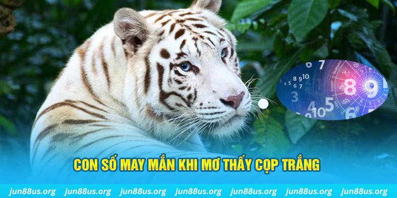 32win1 đá gà trực tiếp 88
